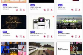 2024.4.11.26.Set.AE.Templates
