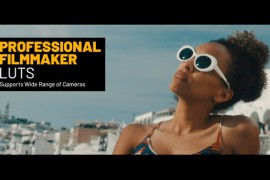 Professional Filmmaker LUTs 45106253