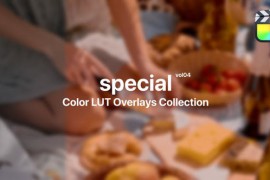 Special Color Presets for Final Cut Pro Vol. 04 48290586