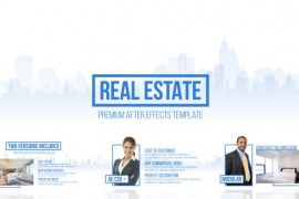 Real Estate Commercial 12641135