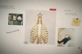 Science Project Presentation 50803825