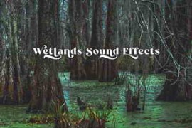 Close to Nature Music Ensemble Wetlands Sound Effects FLAC-FANTASTiC