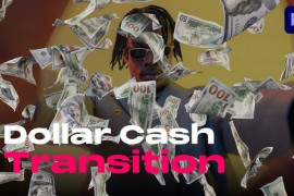 Dollar Cash Transitions 50173092