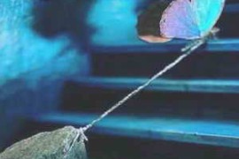 Sargkrypta Nightflight Trap Loop Kit WAV [FREE]