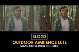 Slog3 Outdoor Ambience and Standard Color LUTs 50931294