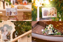 Wedding Photo Gallery -Autumn evening Garden 34881515