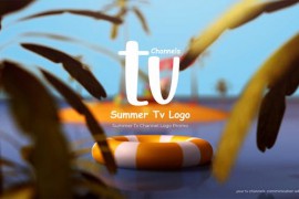 Summer Tv Logo 44551192