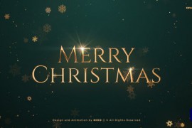 Christmas Wishes 49726597
