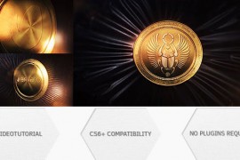 Golden Coin 19455238