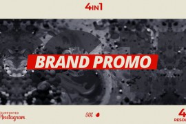 Brand Promo 27247874