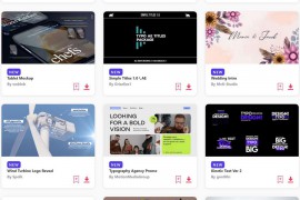 2023.4.11.63.Set.AE.Templates