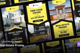 Social Media Reels - Real Estate Promo After Effects Template 49815624