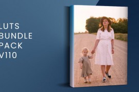 LUTs Bundle Pack V110 | DaVinci Resolve 50607438