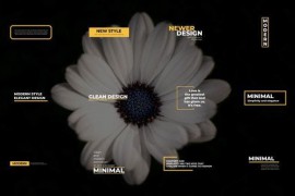 Minimal Titles 4.0 | FCPX 47398884
