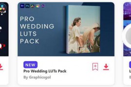 2023.3.8.2.Set.DaVinci-Resolve.Templates