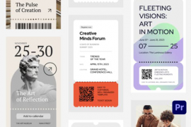 Ticket Event Instagram Stories for Premiere Pro 45551376