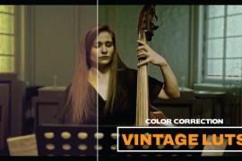 LUTs Vintage 42463184