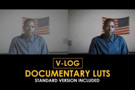 V-Log Documentary and Standard Color LUTs 51443808