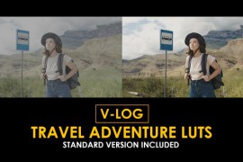 V-Log Travel Adventure and Standard Color LUTs 51443734