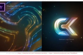 Abstract Logo Reveal 51645771