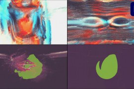 Meaty Reliefs for Premiere Pro 45500956