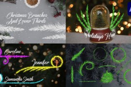 Christmas Branches And Lower Thirds for After Effects 42265253