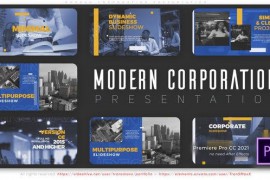 Modern Corporation Presentation 45080608