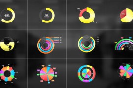 Circle Chart Infographic Premiere Pro 42210982