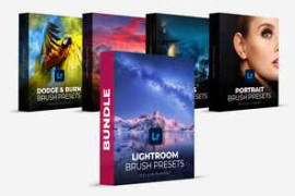 Kelvin Pimont – Lightroom Brush Presets