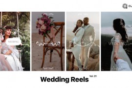 Wedding Reels Vol. 01 49249690
