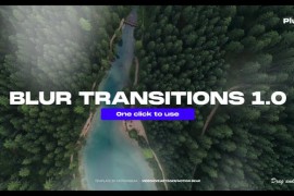 Blur Transitions 42839068