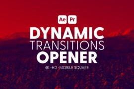 Dynamic Transitions Opener 43002030