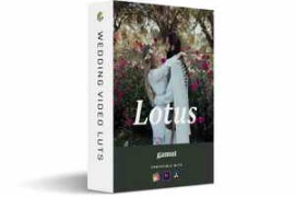 Gamut – Lotus Lut Pack