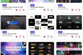 2023.12.1.20.Set.Apple-Motion.Templates
