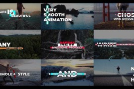 Trendy Titles 31444530