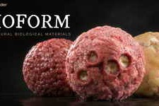 Bioform v1.0.0 – Procedural Biological Materials for Blender