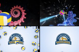 Volleyball Logo Reveal 5 48468241