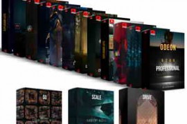  All-in-one Creator Bundle NEW – Paramount Motion