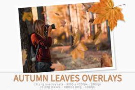 Creativemarket – Autumn Leaves Overlays