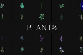 Plants for After Effects 51581124