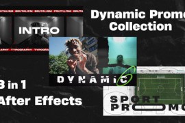 Dynamic Promo Collection 48998155