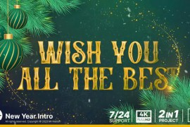 New Year Intro Opener 49326270