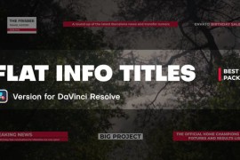 Flat Info Titles | DaVinci Resolve 46134632