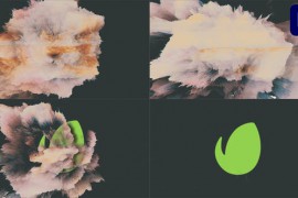 Absolution for Premiere Pro 45213448