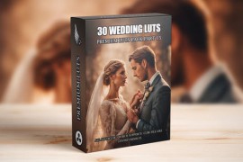 Top 30 Professional Cinematic Wedding LUTs For Wedding Filmmakers - Part 15 49760088