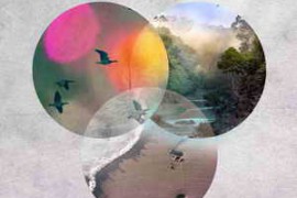 Black Octopus Sound Ambient Atmospheres And Textures WAV-DISCOVER