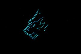 Logo Reveal 43887004