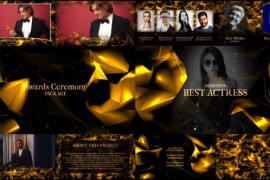 Awards Ceremony for Premiere Pro 45500928