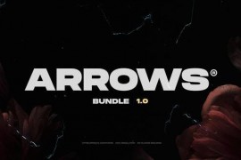 Arrows 45806343