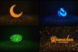 Islamic Logo Reveal: 43841458